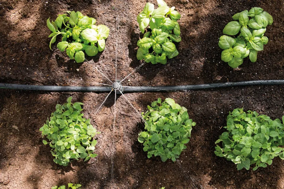 Bevattningsset ku00F6kstru00E4dgu00E5rd