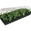 Minigro med 30 krukor
