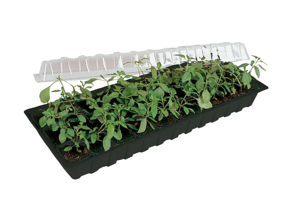 Minigro med 30 krukor