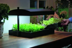 Odlingsbelysning LED
