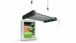 Odlingsbelysning Quantum 240 W