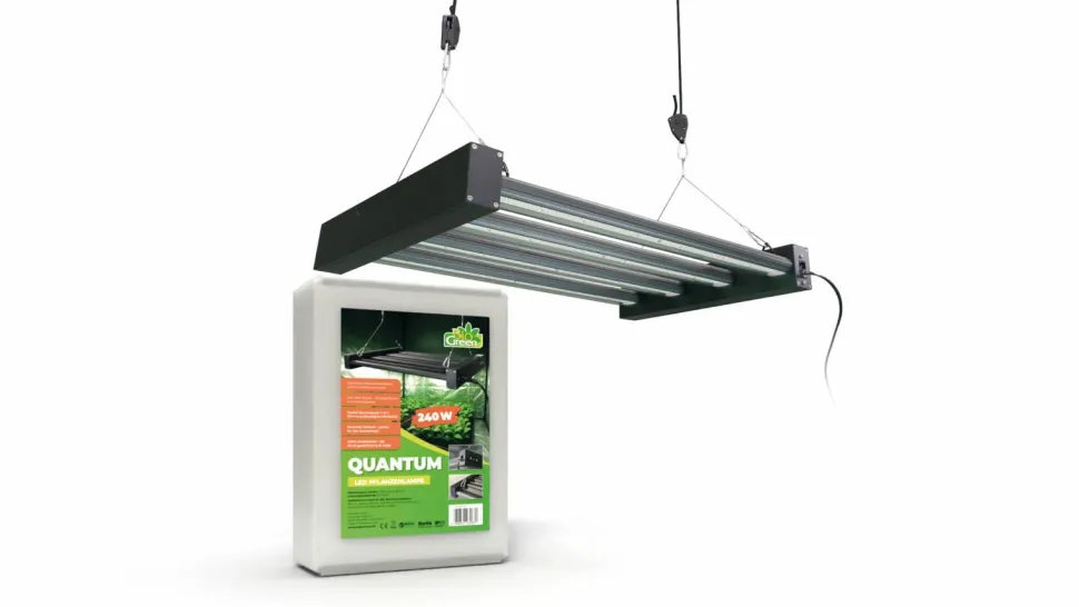 Odlingsbelysning Quantum 240 W