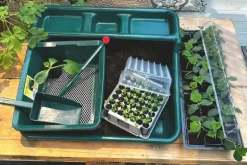 Planteringspaket