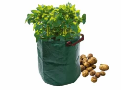 Potatisbag