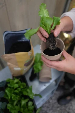 ROOT Biohumus