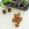 ROOT!T Odlingsbriketter Kokosfiber Refill 60-pack