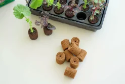 ROOT!T Odlingsbriketter Kokosfiber Refill 60-pack