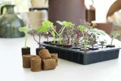 ROOT!T Odlingsbriketter Kokosfiber Refill 60-pack