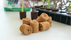 ROOT!T Odlingsbriketter Kokosfiber Refill 60-pack