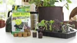 ROOT!T Odlingsbriketter Kokosfiber Refill 60-pack