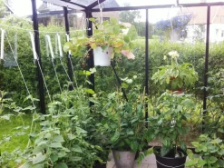 Tomatkrok