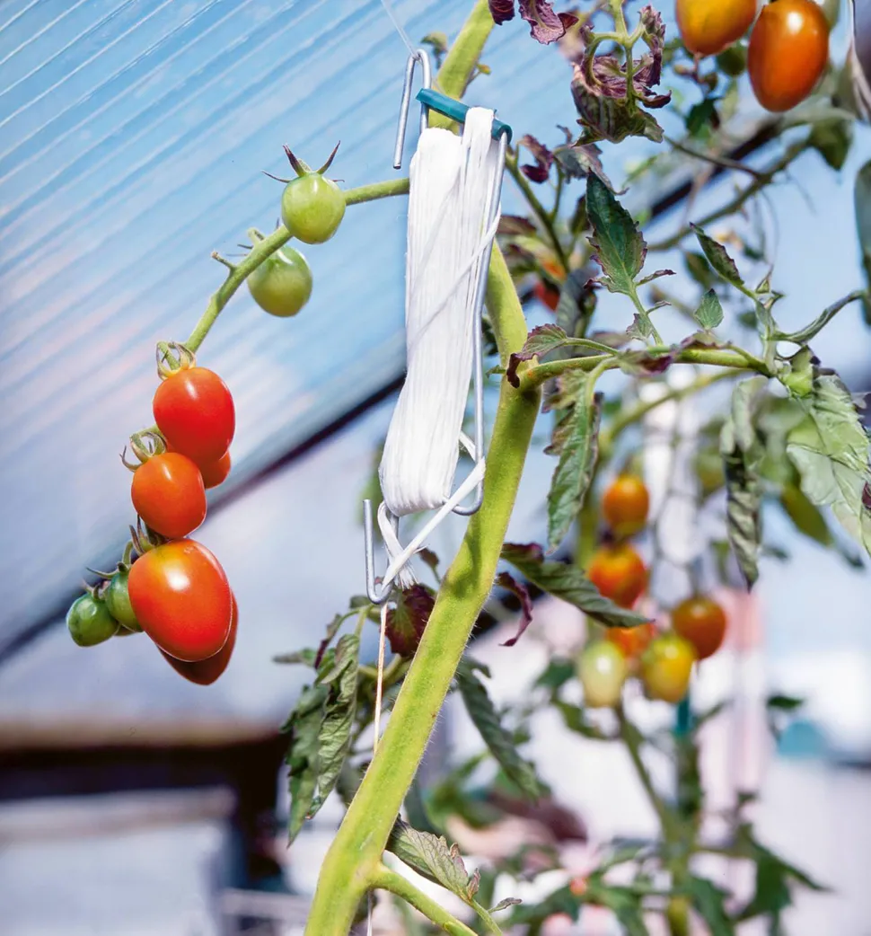 Tomatkrok