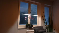 Vu00E4xtbelysning Florabooster
