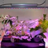 Vu00E4xtbelysning Quattro 35W