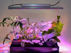 Vu00E4xtbelysning Quattro 35W